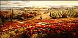 Red Poppy Panorama by Roberto Lombardi